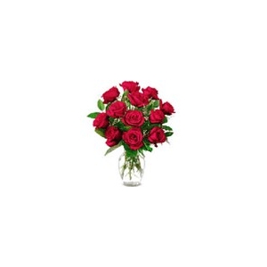 12 Red Roses in a Vase