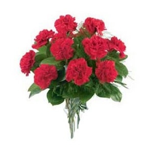 12 Red Carnations