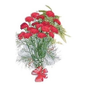 24 Red Carnations Bunch