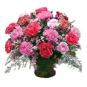 Carnations Arrangement